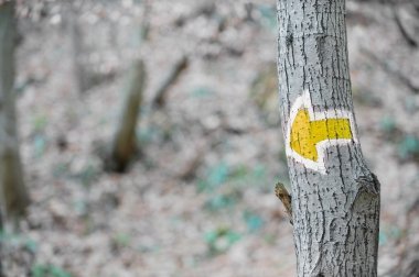 Sarı ok işareti ağaçta hiking