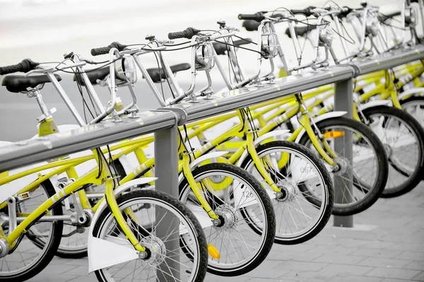 Yellow bicycles for public transport — Stock Photo, Image