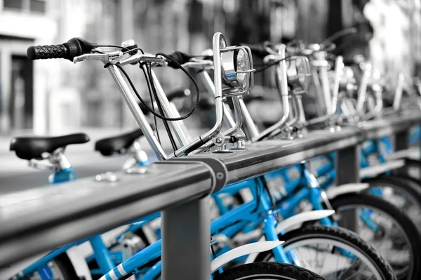 mavi bir bisiklet kiralayın