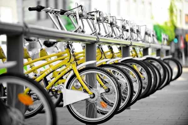 Yellow bicycles for public transport — Stock Photo, Image