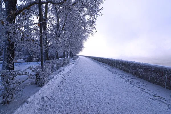 Inverno a Irkutsk, Russia — Foto Stock