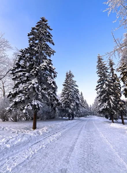 Зимний пейзаж, Иркутск, Россия — стоковое фото