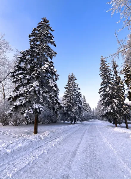 Téli táj, irkutsk, Oroszország — Stock Fotó