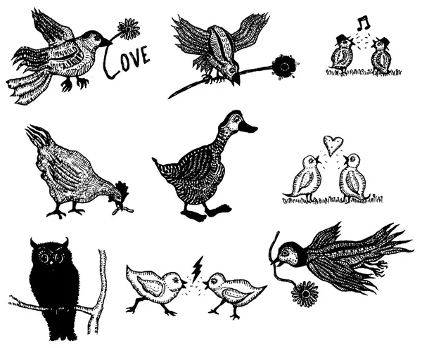 Doodle sada ptáků Royalty Free Stock Vektory