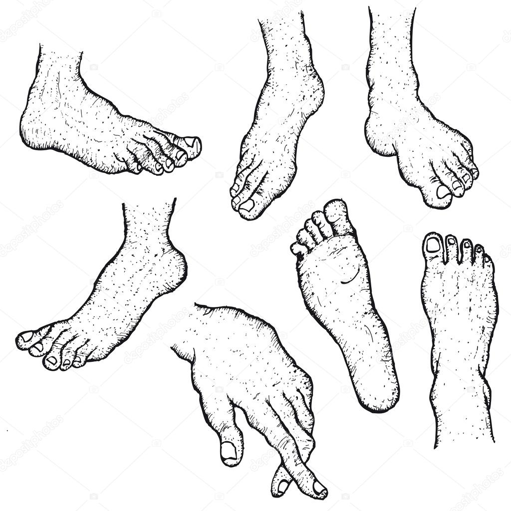 Hand Drawn Human Foot Set — Stock Vector © joyskyfranzi2 38256123