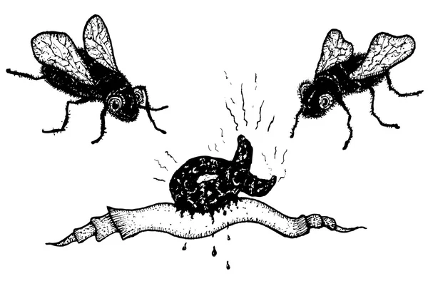 Houseflies ve bok — Stok Vektör