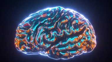 İnsan Beyni 4k 'nin 3D animasyonu