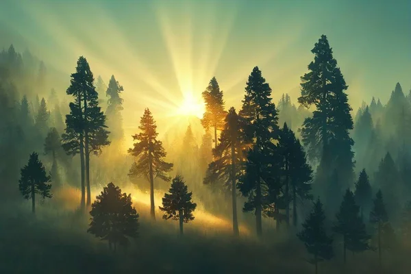 Panoramic view of the majestic evergreen forest in a morning fog. Mighty pine tree silhouettes. Atmospheric dreamlike summer landscape. Sun rays, mysterious golden light. Nature, fantasy, fairytale, a