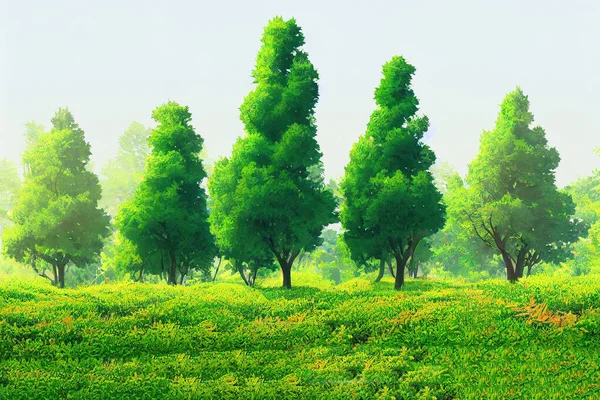 Cutout tree line. Row of green trees and shrubs in summer isolated on white background. Forestscape. High quality clipping mask. Forest and green foliage., anime style, style, toon,