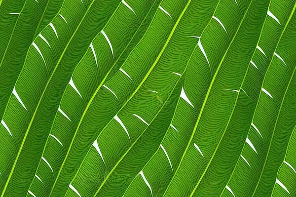 Tropical banana leaf Wallpaper, Luxury nature leaves pattern design, Golden banana leaf line arts, print, cover, 2d illustration.