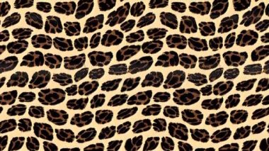 Hayvan derisi leopar kusursuz döngü animasyon tasarımı. Jaguar, leopar, çita, panter kürkü