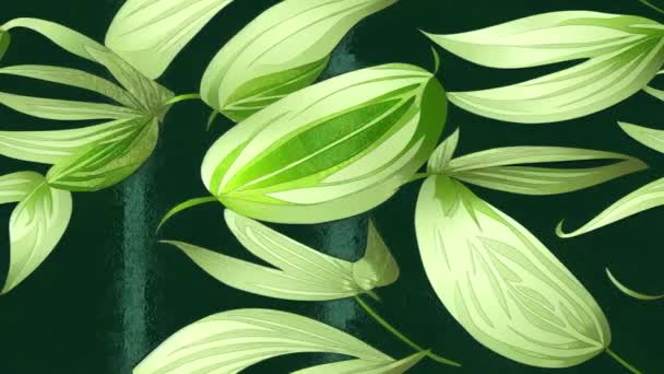 高級自然緑の背景 花のアニメーション ゴールデンスプリットリーフモンスター植物ラインアートとPhilodendron植物 レンダリング — ストック動画