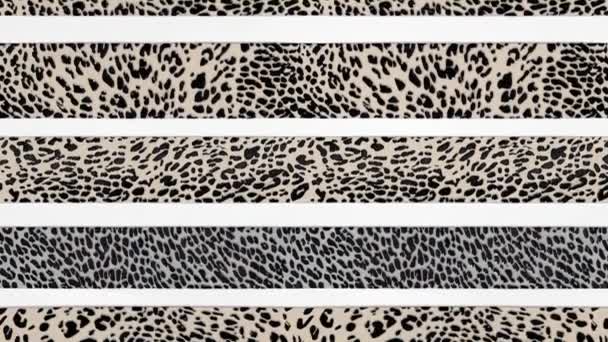 Abstract Leopard Skin Seamless Looping Animations White Brown Black Irregular — Stock Video