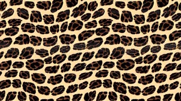 Animal Pele Leopardo Sem Costura Desenho Animação Looping Jaguar Leopardo — Vídeo de Stock