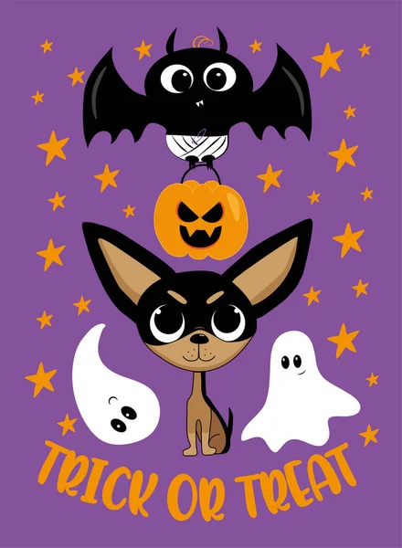 Trick Treat Cute Baby Bat Pumpkin Chihuahua Dog Ghosts Isolated — Stock Vector