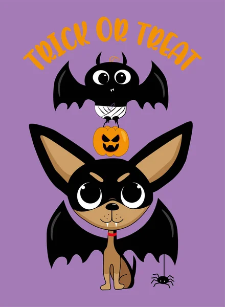 Trick Treat Vampire Chihua Dog Cute Bat Spider Карикатура Хэллоуин — стоковый вектор