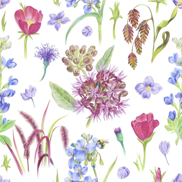 Prairie Plants Pattern Callirhoe Flower New York Ironweed Thalictrum Blue — 图库照片