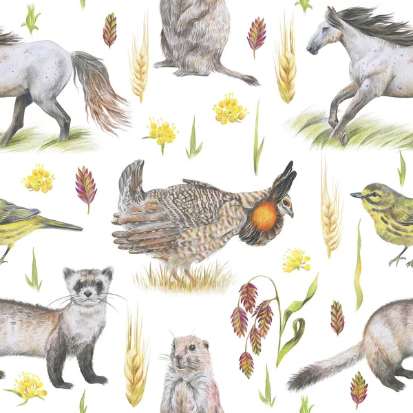 Prairie animals pattern. Black-footed ferret, Prairie warbler, Prairie dog, Wild horse and Greater prairie chicken.
