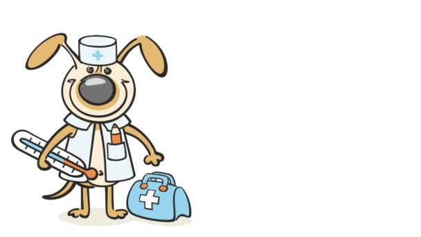 สุนัข - แพทย์สัตวแพทย์ — วีดีโอสต็อก