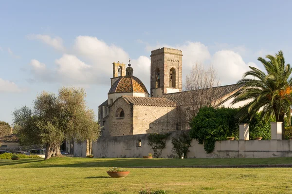 Kilise ve zeytin — Stok fotoğraf