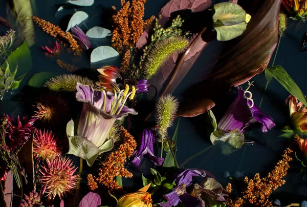 Bela Arte Composição Floral Água Lindo Buquê Diferentes Flores Plantas — Fotografia de Stock