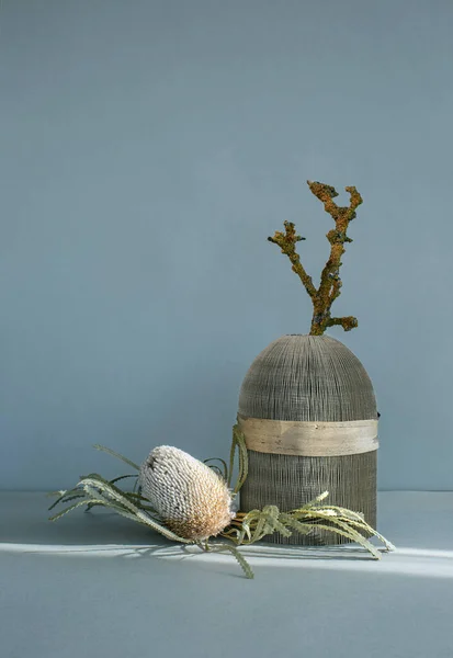 Fundo cosmético mínimo. Composição de plantas secas, madeira velha e pedra-pomes. — Fotografia de Stock