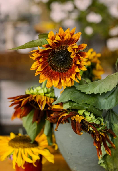 Sonnenblumen Keramikvase Auf Dem Holztisch — Stockfoto