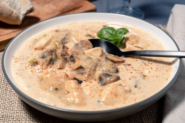 Homemade Cream Chicken Mushroom Soup French Style Chicken Fricassee Soup — Stock Photo, Image