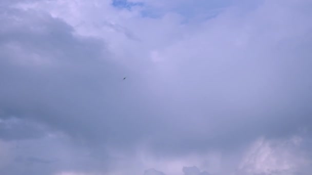 Zeitlupe Schwarze dunkle Vögel fliegen auf dem Hintergrund des blauen und weißen Himmels. Schwalben fliegen in blauem Himmel. Immigration Tier in der Natur Umwelt. Konzept von Freiheit und Tierwelt. — Stockvideo