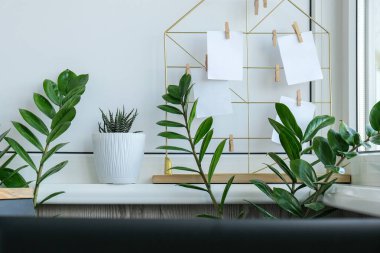 Kartlar ve posterler şebeke tahtasındaki yeşil ev bitkileriyle aynı. Uzayı kopyala Hippi ofis masa dekorasyonu. Merkez ofis masaüstü. Bağımsız blogcular işyeri