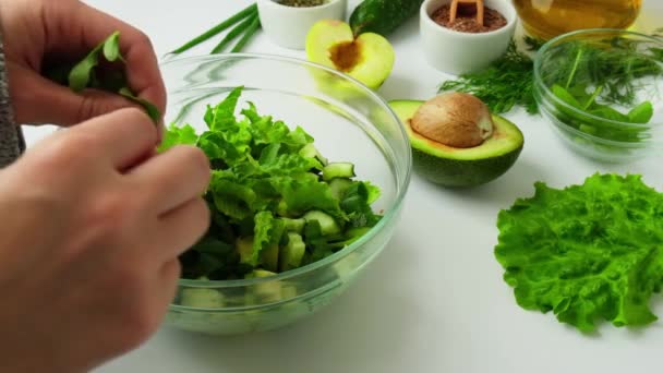 Taze yeşil sebze ve ottan salata pişiren bir kadın. Çiğ gıda konsepti. Vejetaryen menüsü. Sağlıklı beslenme ya da vejetaryen yemekleri pişirmek. Yeşil sebzelerle çevrili kadın eli salata. Adım adım. — Stok video