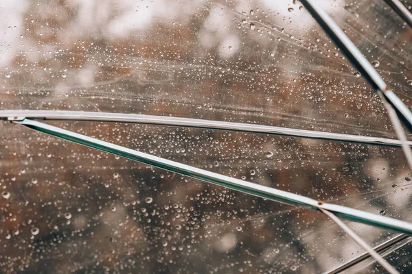Zamknij Przezroczysty Parasol Kroplami Wody Podczas Deszczu Zielonymi Pomarańczowymi Liśćmi — Zdjęcie stockowe
