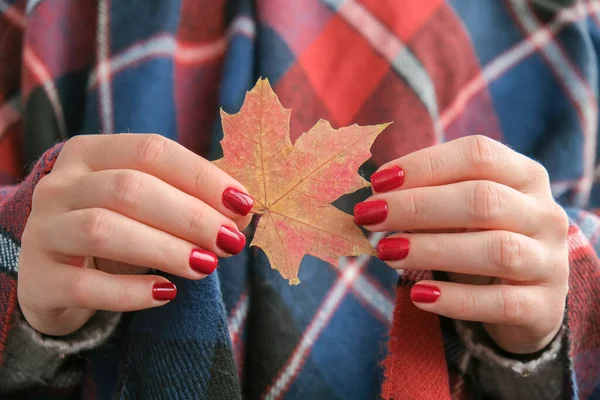 Stylish red female nails. Fall leaf in hands. Modern Beautiful manicure. Autumn winter nail design concept of beauty treatment. Gel nails. Skin care. Wellness. Trendy colors.