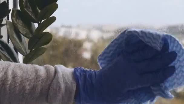 Прибирання вікна. Молода жінка очищає і відполірує вікна Блакитні рукавички, очищаючи вікно, використовуючи розпилювальну рідину. Склоочисник з брудним вікном ззовні крупним планом. Робота вдома та домогосподарство — стокове відео