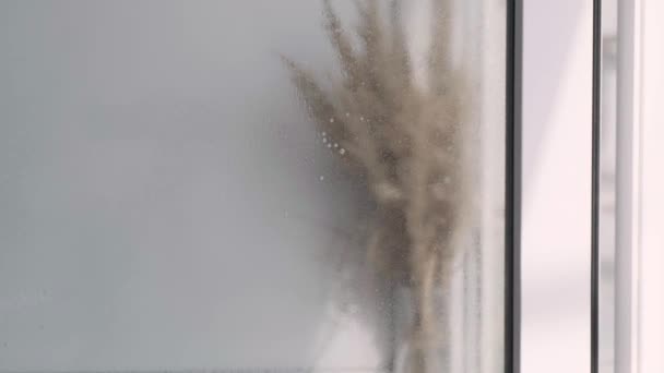 Rengör fönstret. En ung kvinna rengör och polerar fönster Blå handskar Rengör ett fönster med sprayad vätska. Torka med ett smutsigt fönster från utsidan närbild. Hushållsarbete och hushållsarbete — Stockvideo