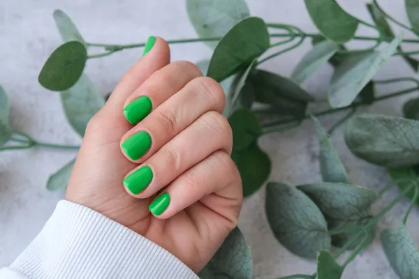 Mãos Femininas Cuidadas Com Unhas Verdes Elegantes Manicure Design Moderno — Fotografia de Stock