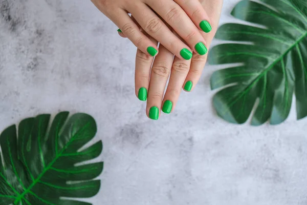 Mãos Femininas Cuidadas Com Unhas Verdes Elegantes Manicure Design Moderno — Fotografia de Stock