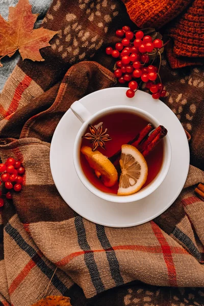 Autumn mood concept. Hot tea with lemon and cinnamon sticks on cozy sweater scarf background. Fall leaves and berries composition still life. Cup of mulled wine. Tea Time. Festive mood atmosphere home