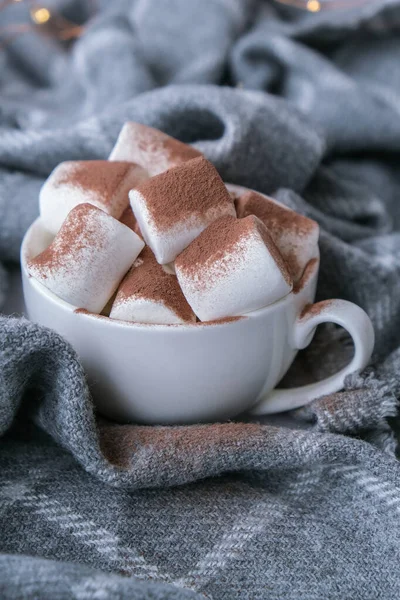Minuman Kokoa Dengan Marshmallow Dan Bubuk Kakao Dengan Latar Belakang — Stok Foto