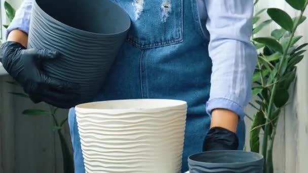 Mujer jardinero trasplanta plantas de interior y utilizar una pala en la mesa. Mujeres manos jardinero verter la tierra con una pala. Zamioculcas Concepto de cuidado de plantas y jardín casero. Plantación de primavera — Vídeos de Stock