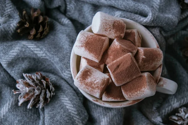 Какао Напиток Зефиром Какао Порошок Уютном Зимнем Фоне Свитера Рождественские — стоковое фото