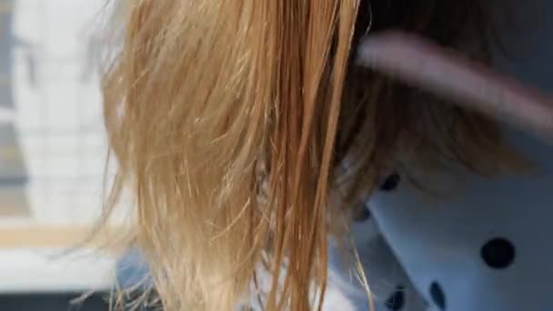 Mulher preocupada segurando escova com perda de cabelo após a escovação. Pedaço de cabelo, problema de crescimento, problemas de cuidados com o cabelo. — Vídeo de Stock