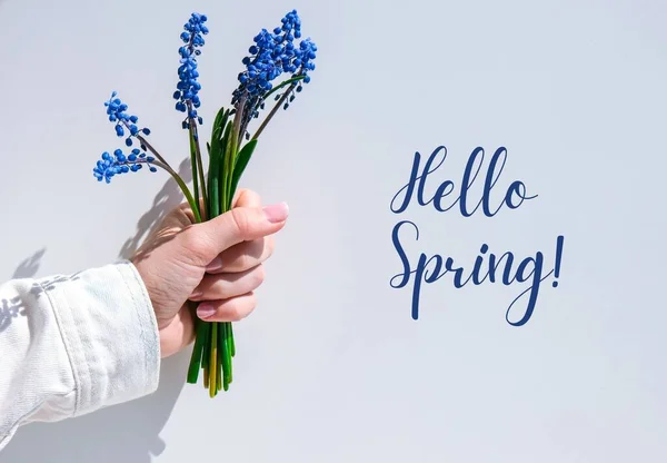 Hello Spring Kobiece Dłonie Trzymające Niebieskie Kwiaty Muscari Prezent Dziecka — Zdjęcie stockowe