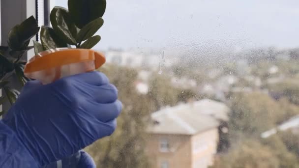 Pulisco la finestra. Una giovane donna pulisce e lucida le finestre Guanti blu che puliscono una finestra usando il liquido spruzzato. Tergicristallo con una finestra sporca dall'esterno primo piano. Lavori domestici e pulizia — Video Stock