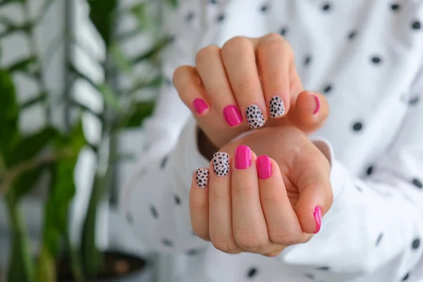 Mãos Femininas Cuidadas Com Unhas Rosa Elegantes Design Manicure Design — Fotografia de Stock