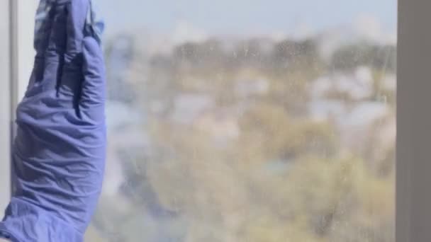 Limpiando la ventana. Una mujer joven limpia y pule las ventanas Guantes azules Limpiando una ventana usando líquido pulverizado. Limpiaparabrisas con una ventana sucia desde el primer plano exterior. Trabajo doméstico y limpieza — Vídeos de Stock