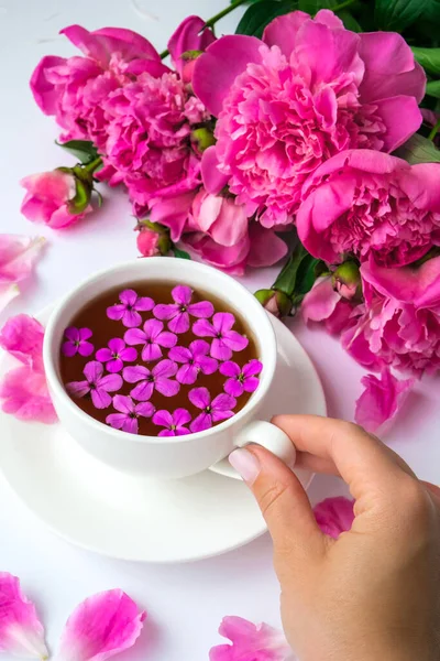 Kreatywny Układ Różowymi Kwiatami Piwonii Kobieta Trzyma Filiżankę Herbaty Jasnym — Zdjęcie stockowe