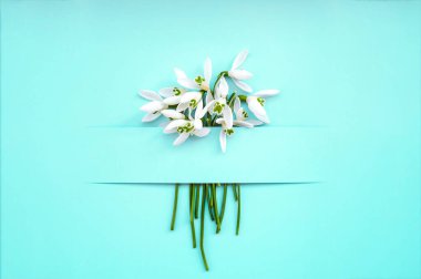 Renk arkaplanında kar damlası çiçekleri olan kompozisyon, parlak mavi arkaplandaki kar damlası çiçekleriyle oluşturulmuş yaratıcı düzen. Düz yatıyordu. Bahar minimum konsepti. Tatil tebriklerimi sunuyorum. Üst görünüm