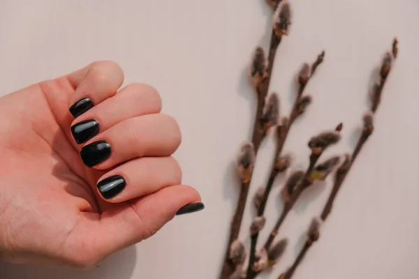Black Nails Manicure Minimal Flat Lay Nature Female Hand Creative — Stock Photo, Image