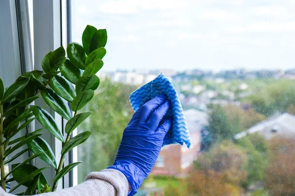 ほこりから窓を拭くマイクロ繊維布でゴム保護手袋で従業員の手 春の掃除だ 家事と家事の概念 外から汚い窓のあるワイパー — ストック写真